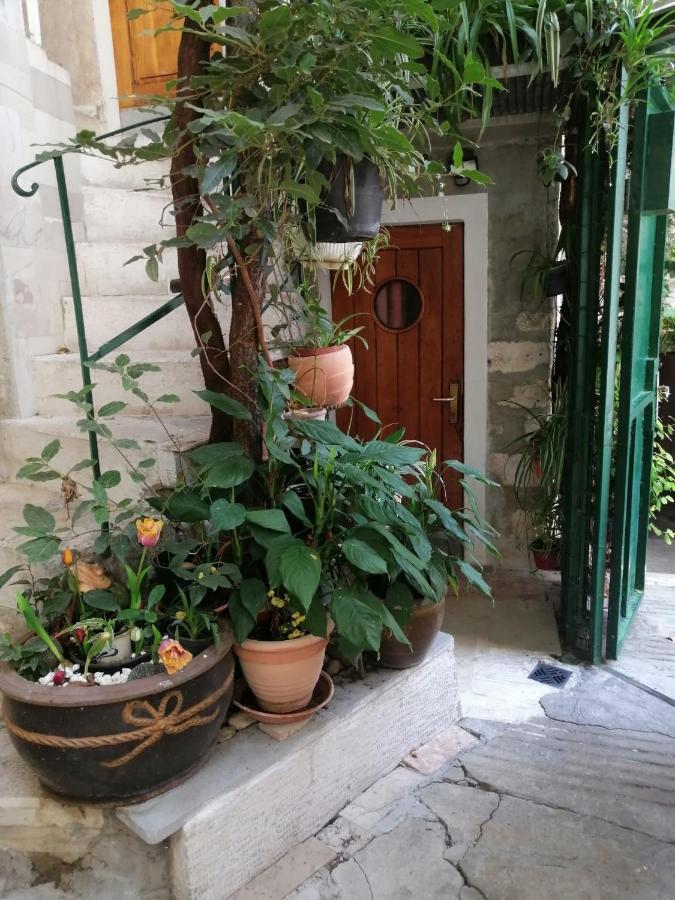 Adriana Downtown Guesthouse Split Exteriér fotografie